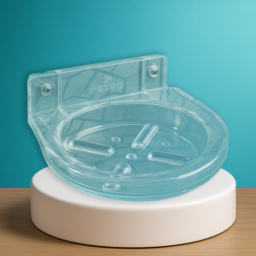 Soap Dish Single Oval (Pack of 2)